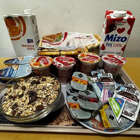 勒达公寓酒店 布达佩斯